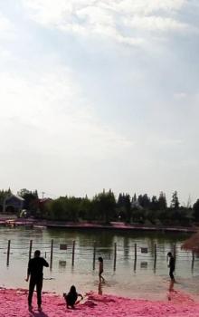 上海寻梦源梦水乡20