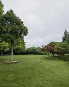 诸翟公园5