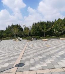 广兰公园6