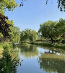 金鹤公园4