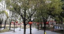 共和公园9
