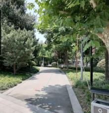 淞南公园6