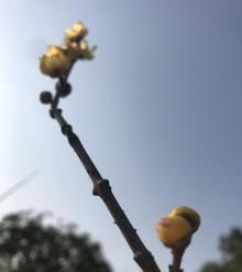 莘城中央公园2