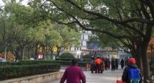 莘城中央公园12