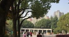 莘城中央公园14
