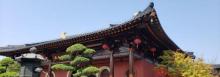 知也禅寺5