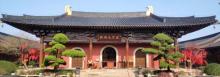 知也禅寺18