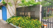 泗塘公园5