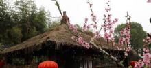 课植园7
