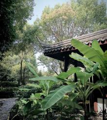 课植园36