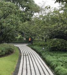 闵行公园12