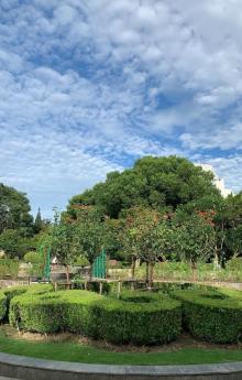 闵行公园13
