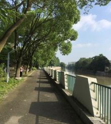 闵行公园14