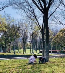 闵行公园18