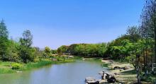 浦江第一湾公园1