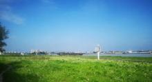浦江第一湾公园2