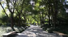 四平科技公园5