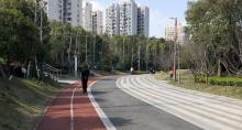 中城绿地公园1