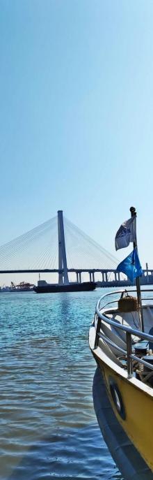 上海徐浦大桥7