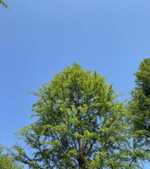 星愿公园小蜻蜓园地7