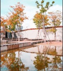 油罐艺术中心「新惧象」展2