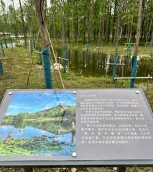 绥德公园12