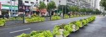 长阳路1