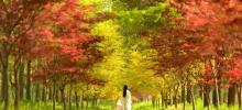 花开海上生态园28