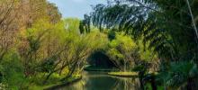 同里国家湿地公园8