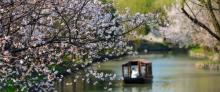 同里国家湿地公园11