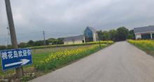 桃花岛农家乐烧烤团建基地2