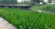 东昌滨江绿地10