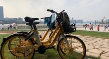 东昌滨江绿地11