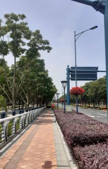 上海国际旅游度假区生态园4