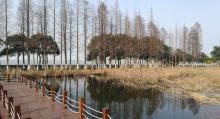 淀山湖风景区29