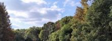 浦江森林公园6