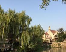 奉浦四季生态园18