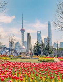情人花景1