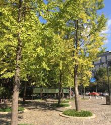 上海保利城市剧院8