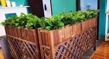 璞述・珍珠蜜蜡琥珀手工DIY(虹口店)16