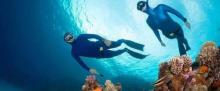 鲸探潜水 UNIQUE DIVING CENTER2