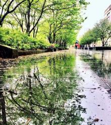 上海曹杨风情街2