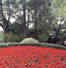 松鹤公园3