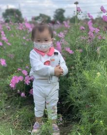 上海寻梦源梦水乡30