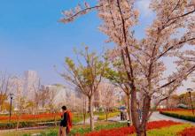 前滩友城公园5