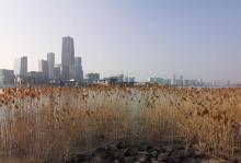前滩友城公园11