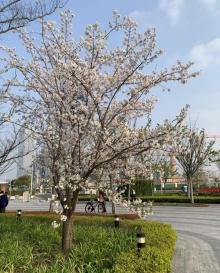 前滩友城公园20
