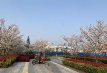前滩友城公园21