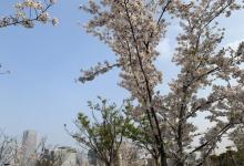前滩友城公园23