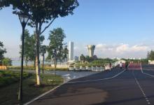 前滩友城公园26